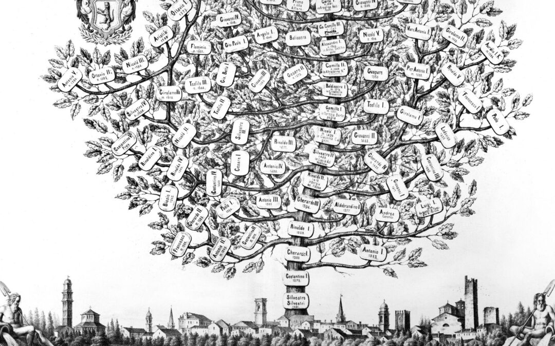 Il Cardinale Pietro Silvestri tra Rovigo e Roma